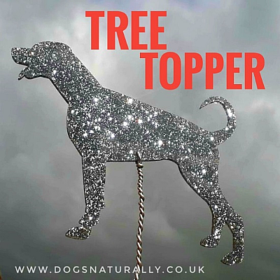 Dog Breed Tree Topper Glitter Decoration (Choose from 11 colours or a Mix)